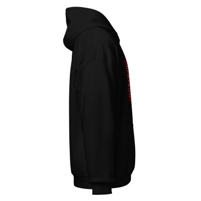 DcBraun Logo Unisex Hoodie - Image 9